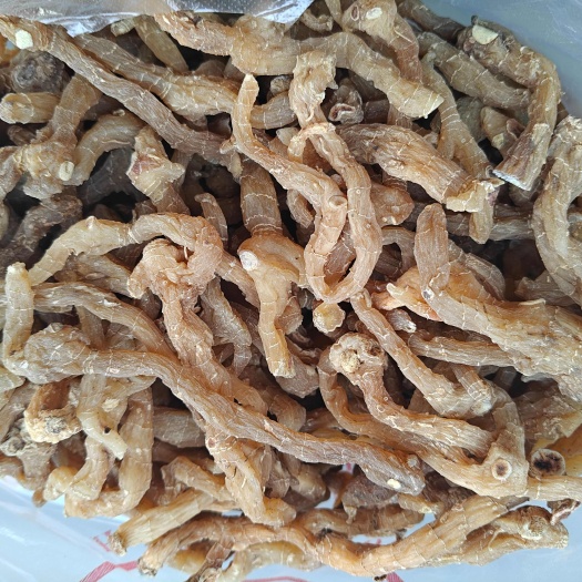 洛南县陕西秦岭商洛本地鸡头黄精，高含量，通货
