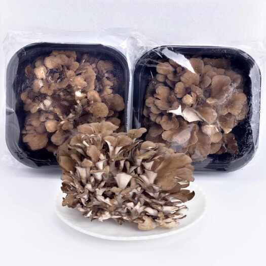 韶关新鲜舞茸，新鲜灰树花，整朵盒装，源头供应，酒店餐饮直供