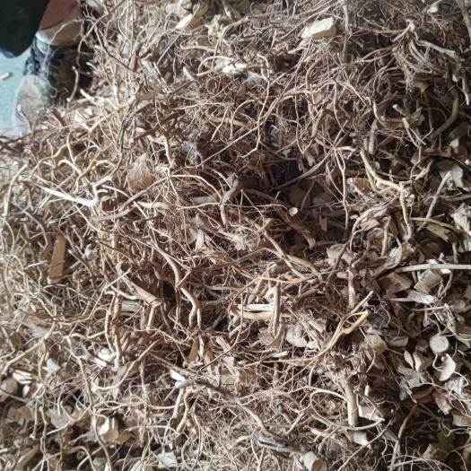 博罗县白花牛奶根砍段货