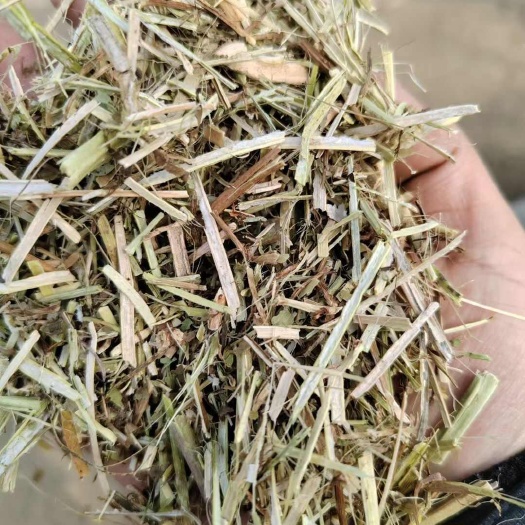 汝南县花生秧牛羊草场