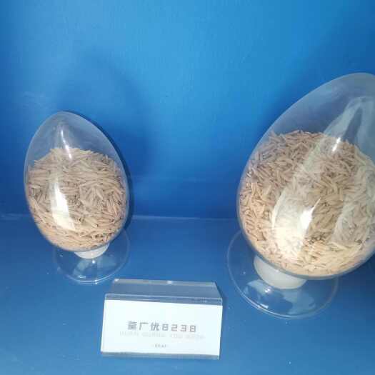 宜春稻谷