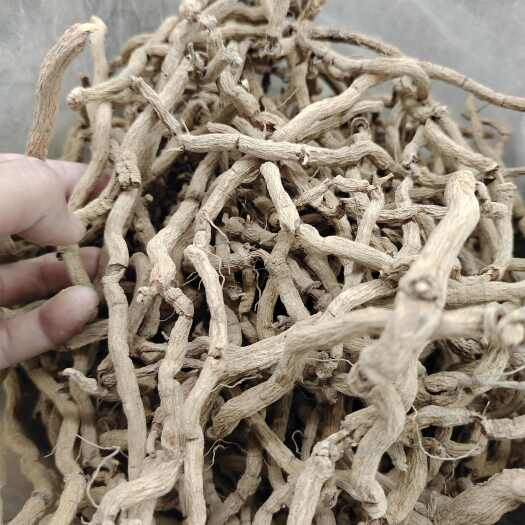 东莞市元巴戟天，大巴戟天，巴戟肉，有货，需要购买的私我