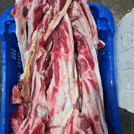 大厂县燕翅骨国产鲜冻有肉有脆骨