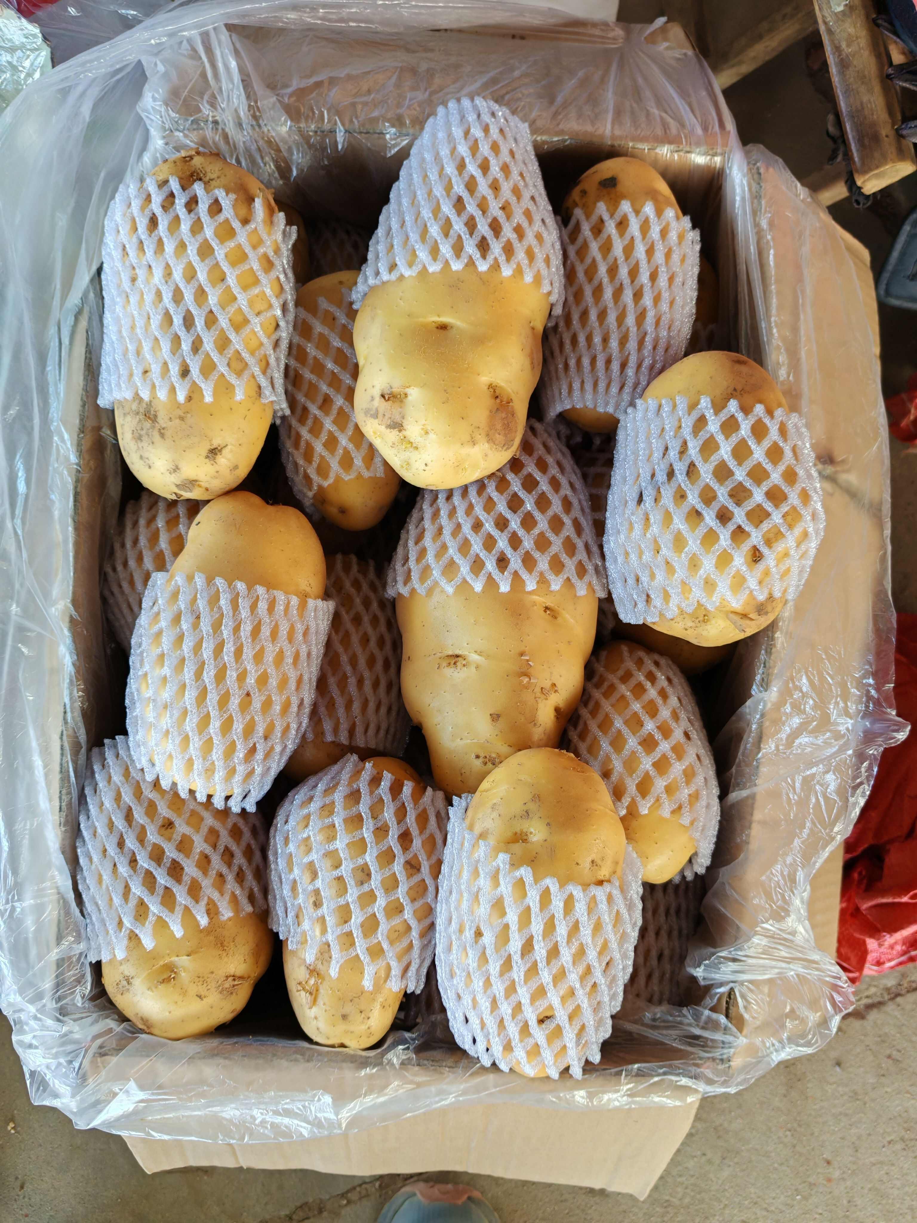 山东土豆内蒙土豆，济南，平阴土豆大量批发价格实惠。