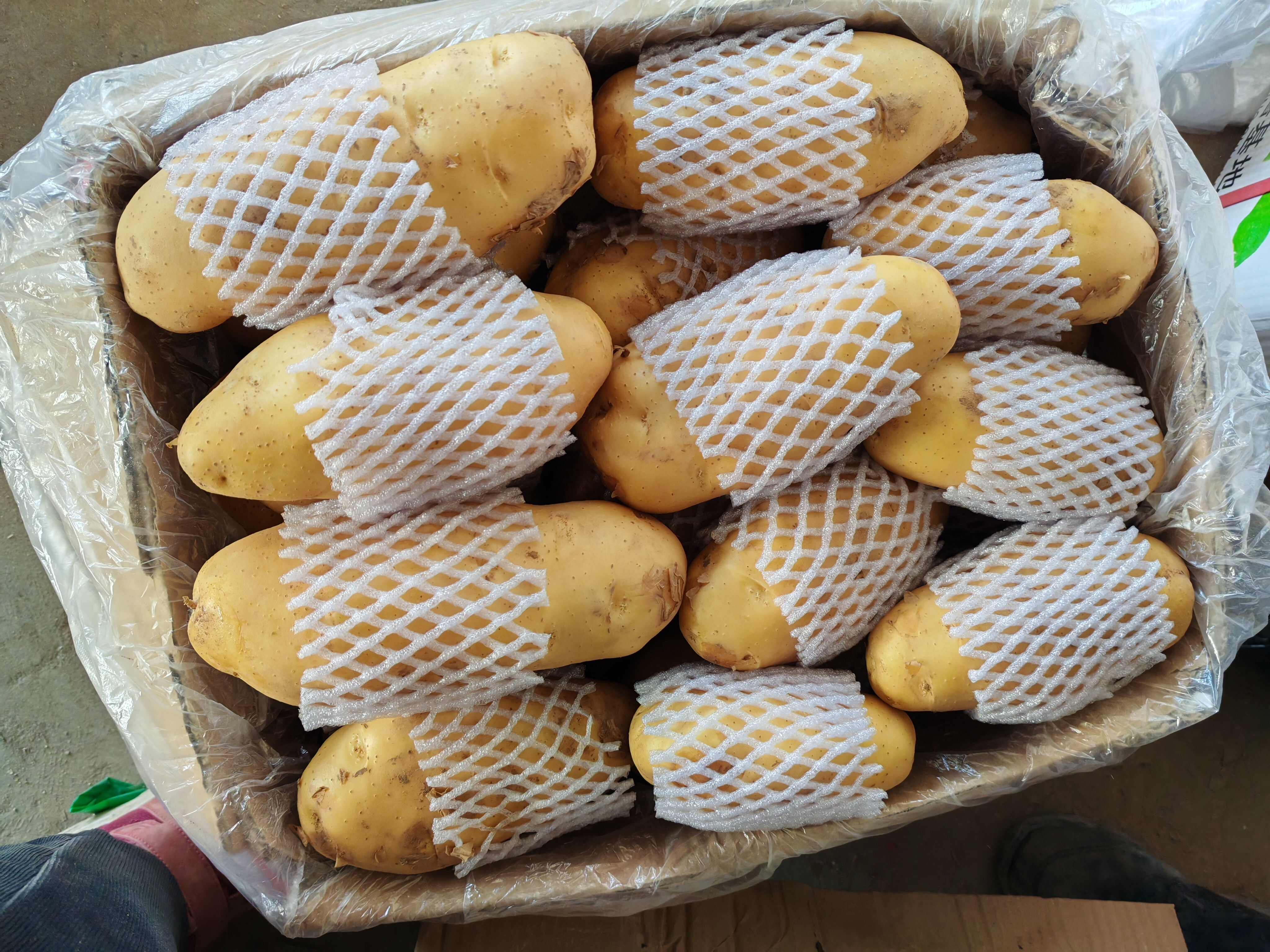 山东土豆内蒙土豆，济南，平阴土豆大量批发价格实惠。