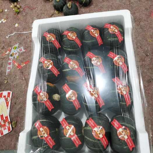 寿光市贝贝南瓜，各种规格大量有货