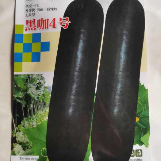 欧蓝德黑咖3号黑咖4号冬瓜种子杂交一代发芽快出苗一致性好大果