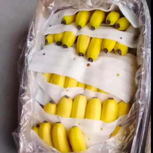 嵩明县精品香蕉