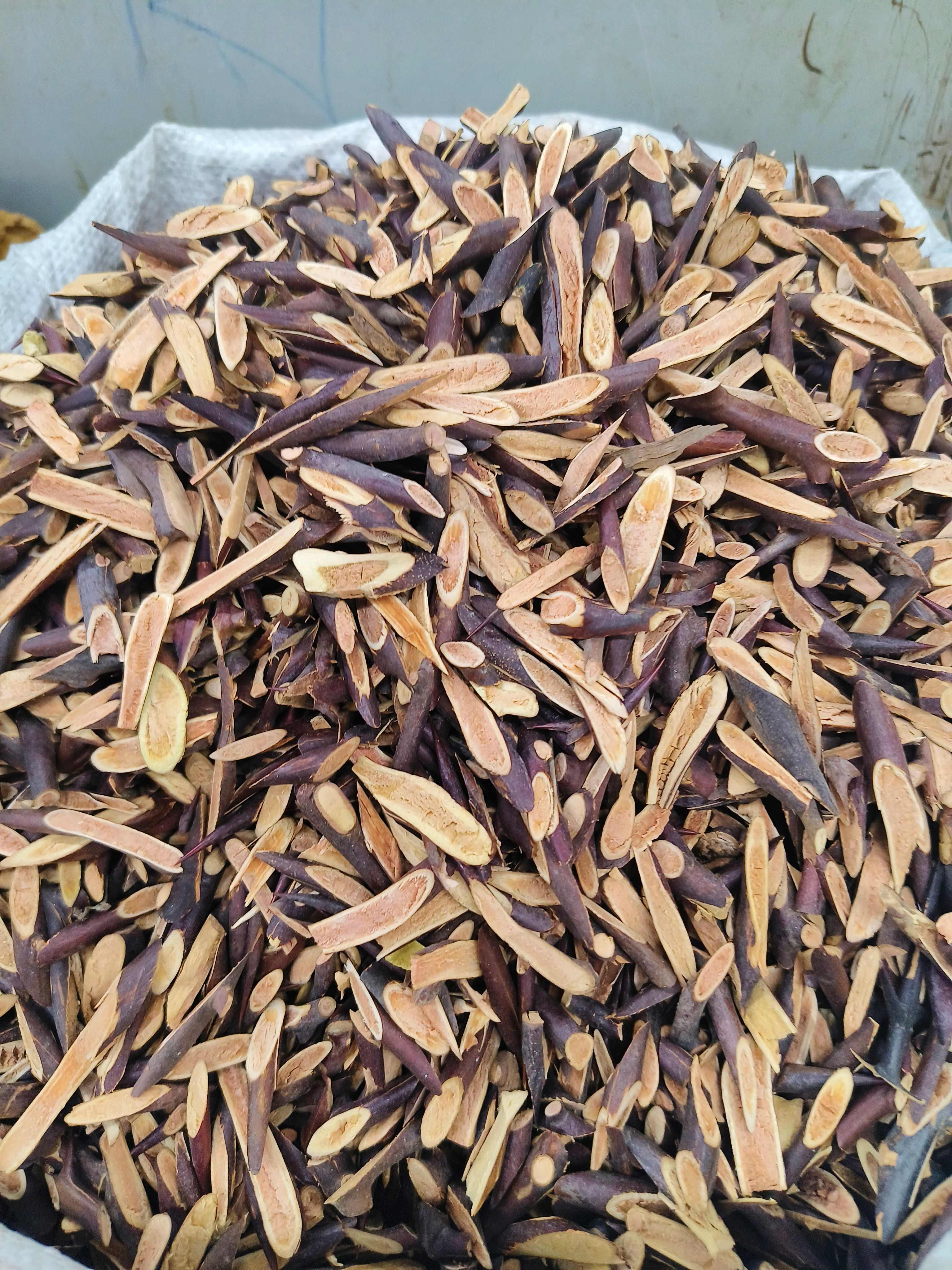 皂刺  片皂刺片