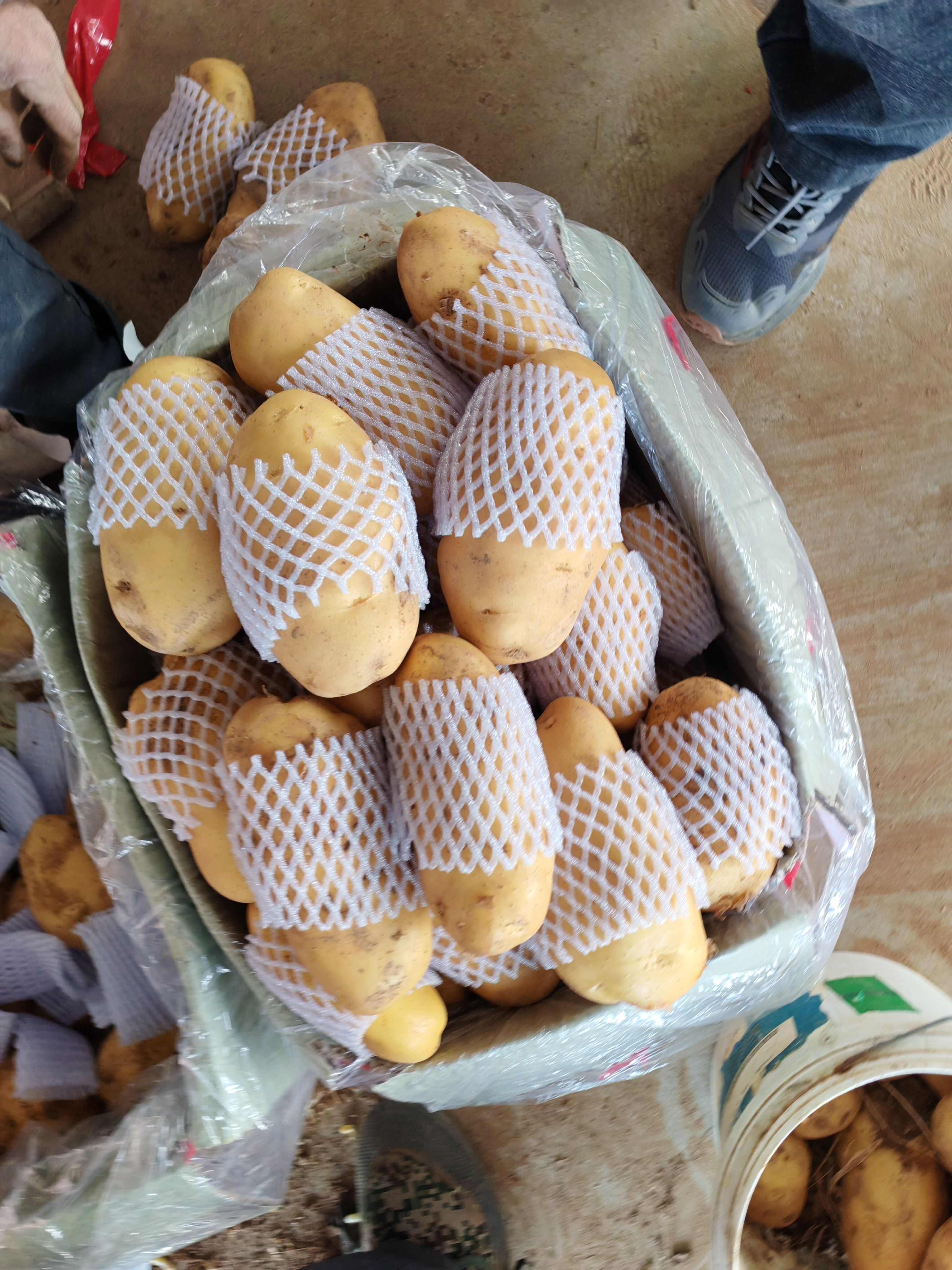 山东土豆内蒙土豆，济南，平阴土豆大量批发价格实惠。