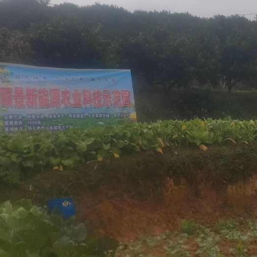 武冈市水浇地