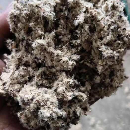 新疆优质棉壳棉籽压缩棉壳厂家