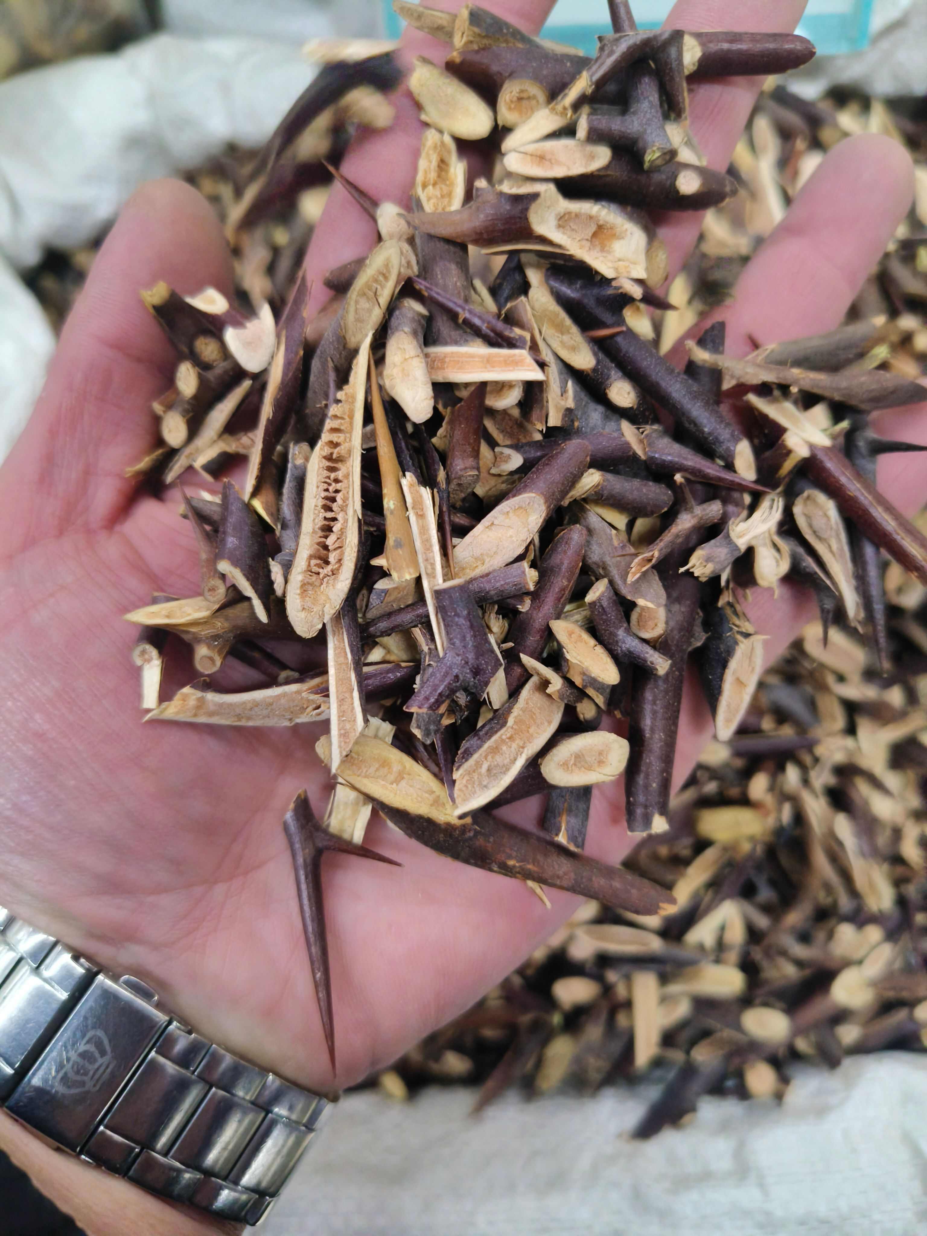 皂刺  片皂刺片