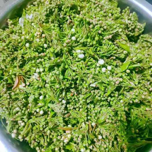 思茅云南野生棠梨花水煮棠梨花