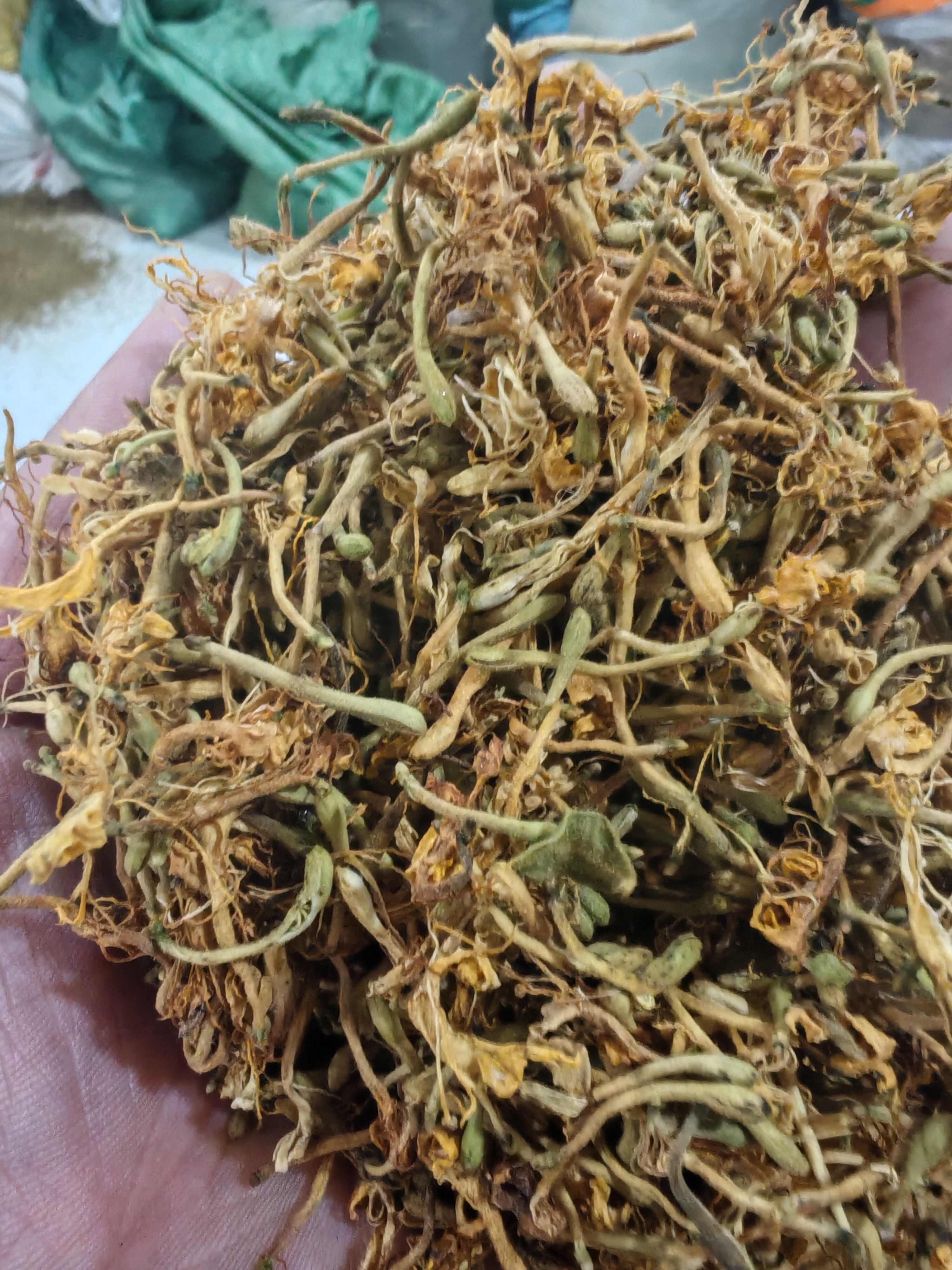安龙县金银花金银花可做茶可以给宝宝洗澡今年新货产地直发