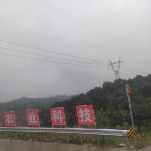长沙水浇地