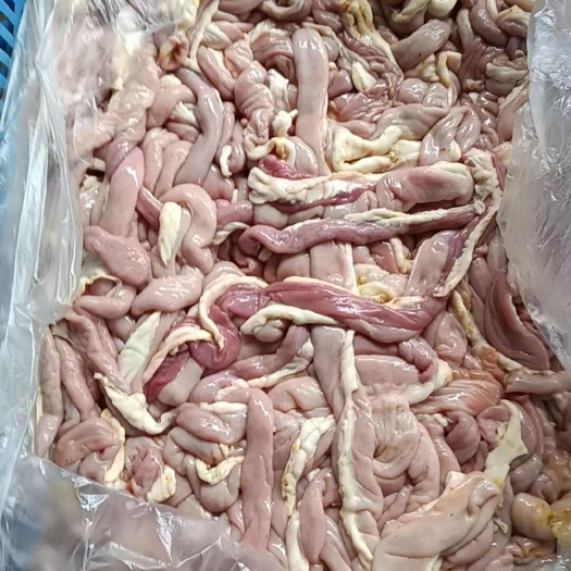 韶关冻品小肠