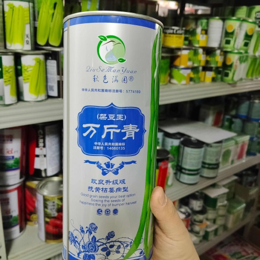 沭阳县万斤青无筋豆架豆种子 神龙无筋豆无筋架豆种长龙一号豆角种子