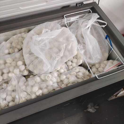 苍南县珍珠小笼包