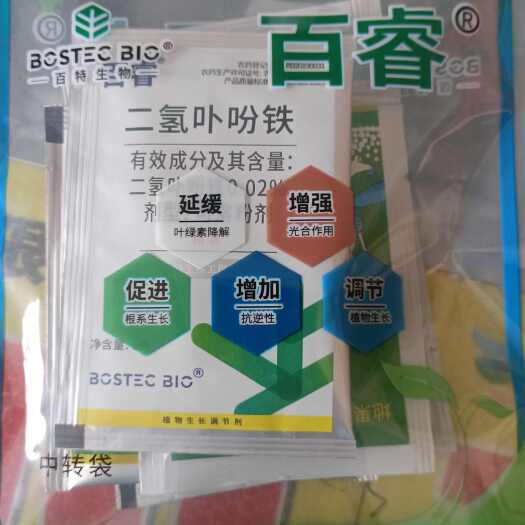 二氢卟吩铁   百睿  大蒜好抽薹  出薹早 不打弯