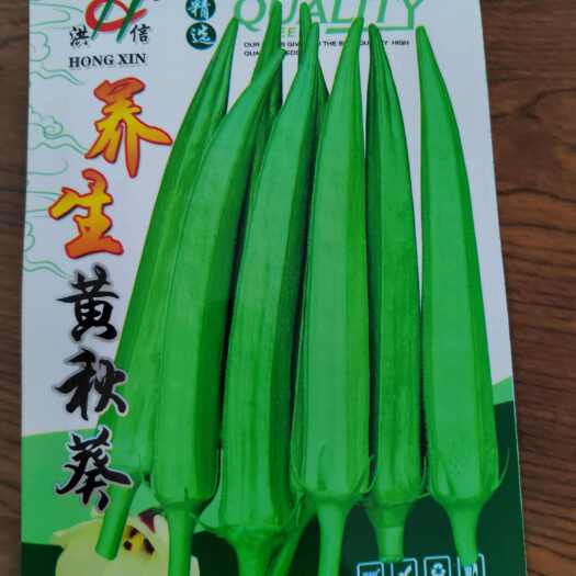 南宁早熟高产黄秋葵种子秋葵种子阳台露天