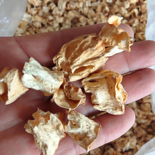羊肚菌菇腿
