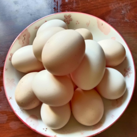 织金县土鸡蛋