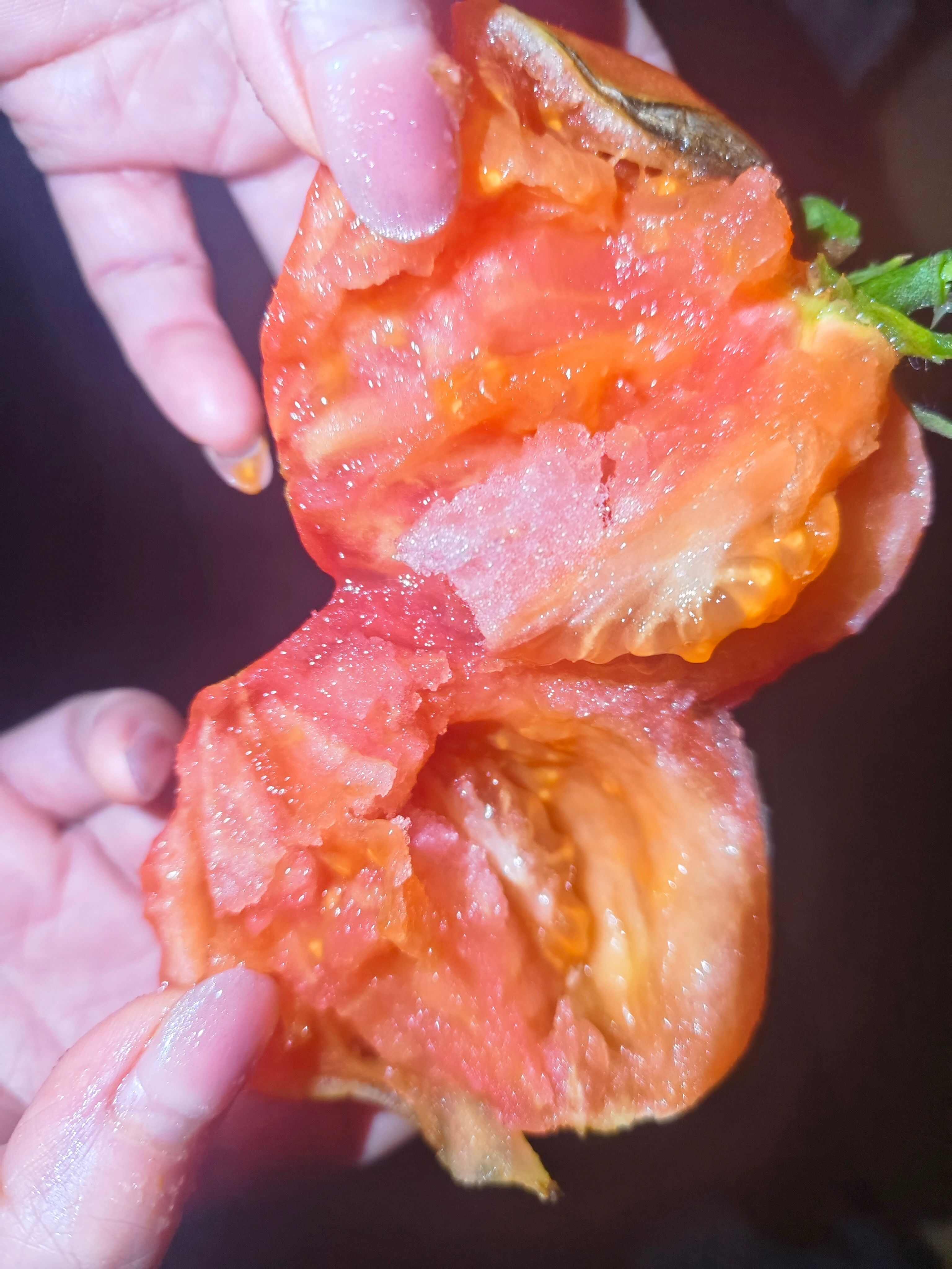 山东青岛平度西红柿新鲜采摘当天发货蔬菜水果食材批发零售