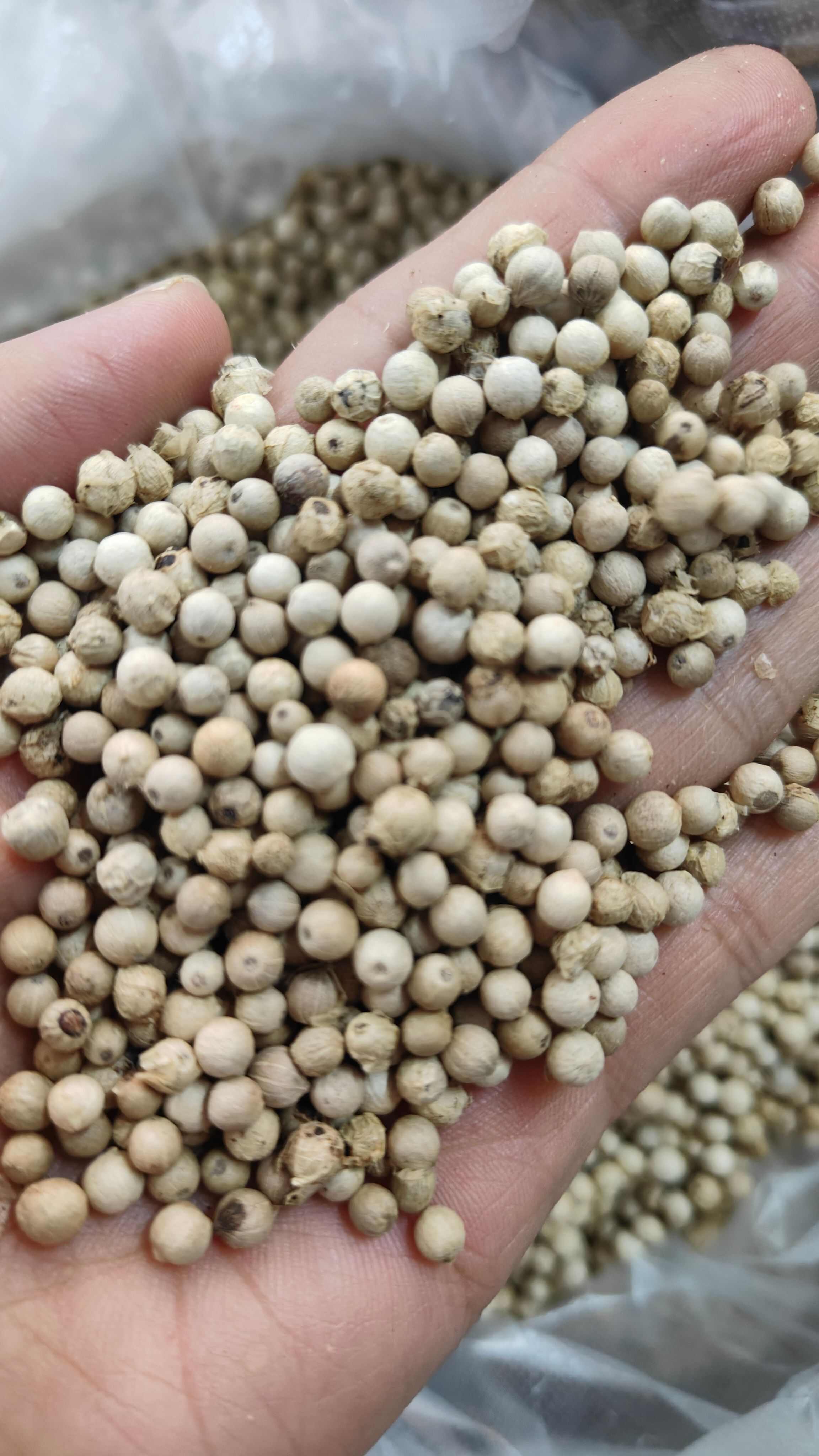 海南胡椒厨房不可少的古月干货需要的无硫