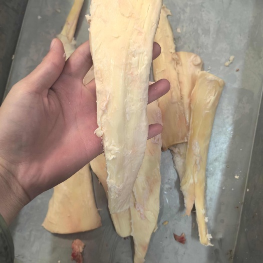 阳信县肥牛板筋尖，精修去油去肉。工厂直销。支持样品，支持看货