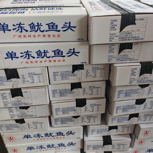 大王乌贼 鱿鱼头