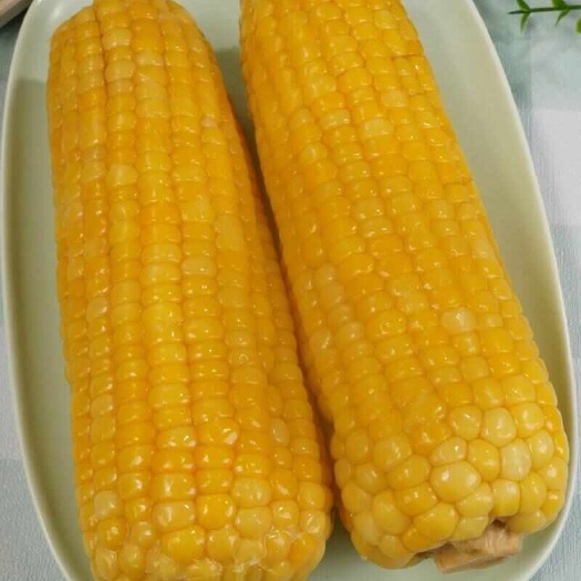 哈尔滨速冻玉米