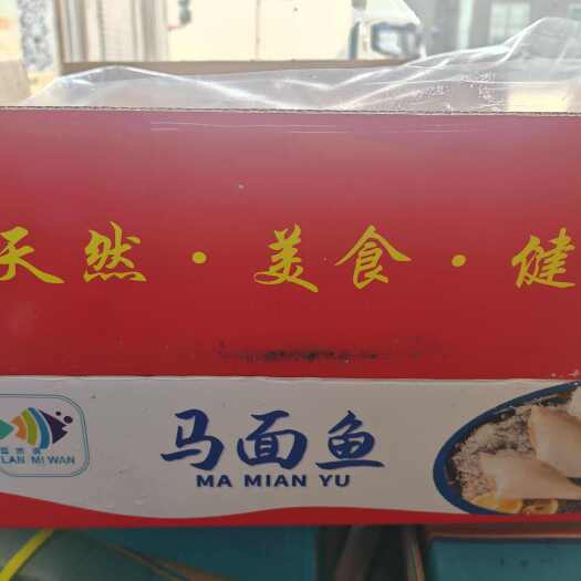 广州马面鱼