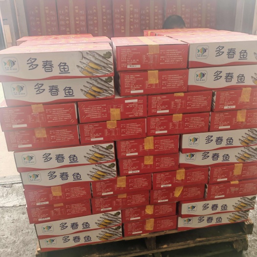 广州多春鱼