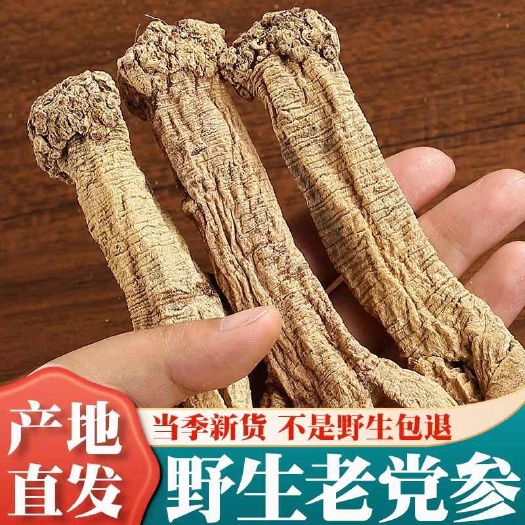 【嘢生纹党参】高年份纹党参甘肃党参紋黨參无硫党参包邮