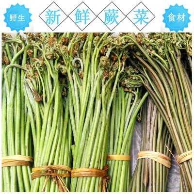 蕨苔蕨菜新鲜蕨菜蕨菜干微菜野生蕨菜山野菜