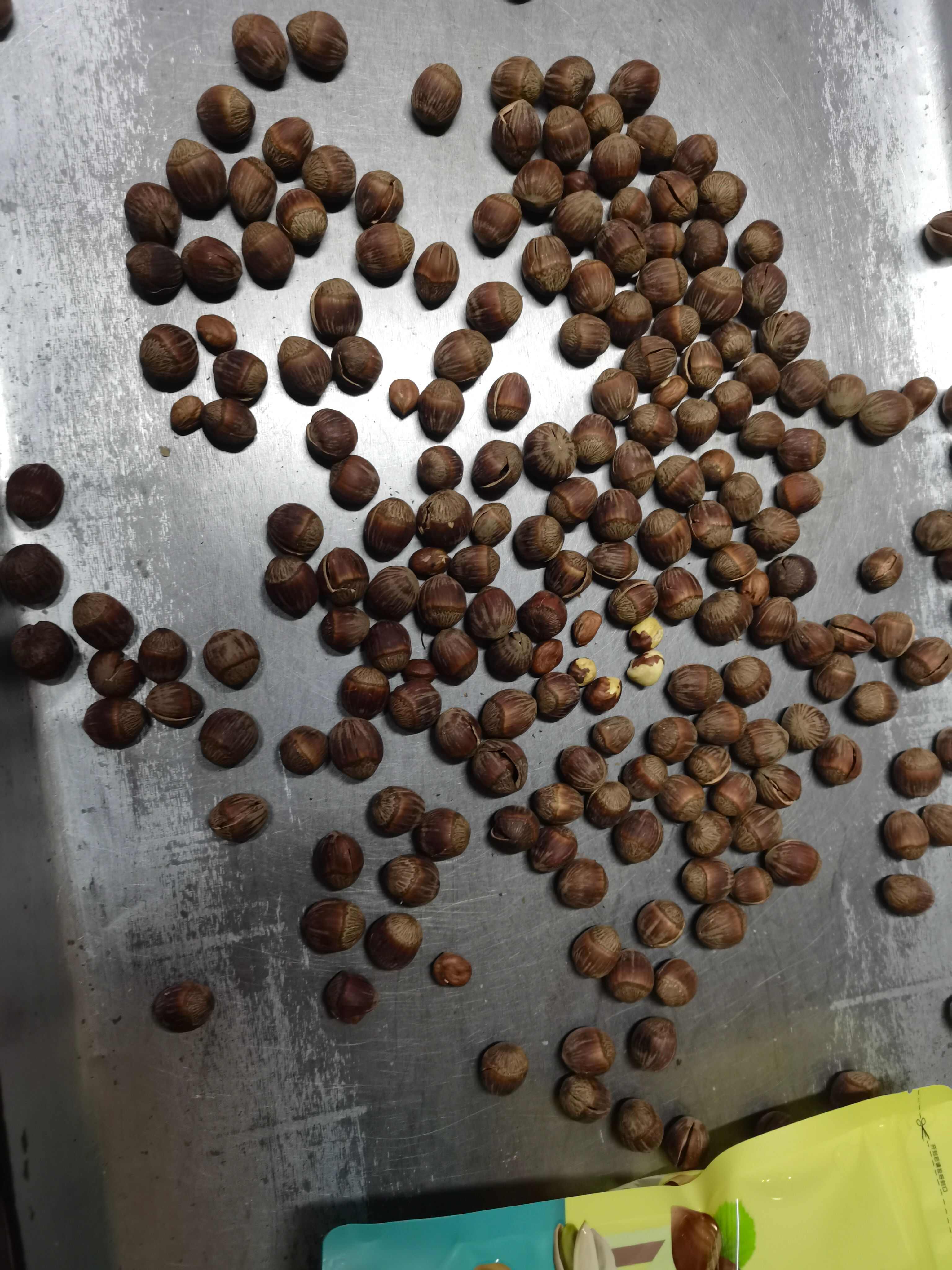 【新货】东北大榛子开口薄皮原味炒熟野生坚果批发 预包装食品