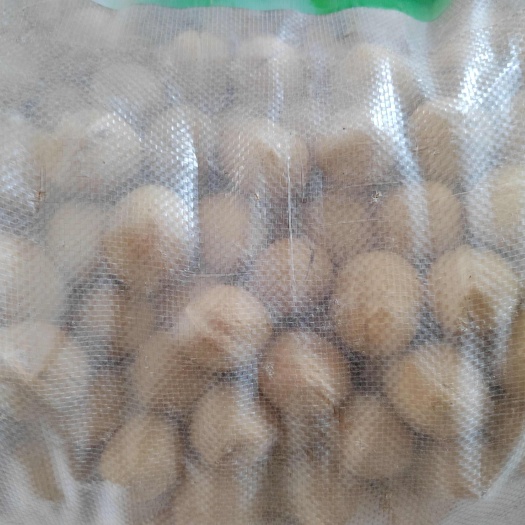 襄樊精品新疆33核桃，185纸皮，非电商货