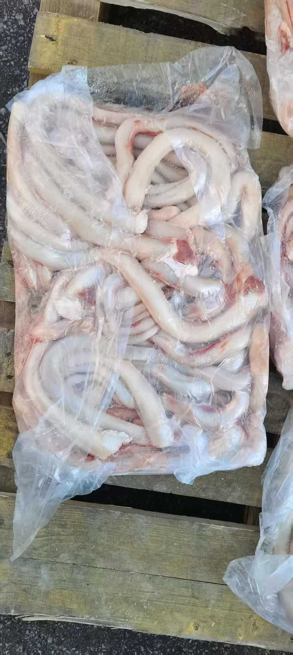 精品牛牛牛鞭