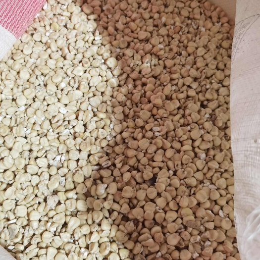 平江县发酵饲料