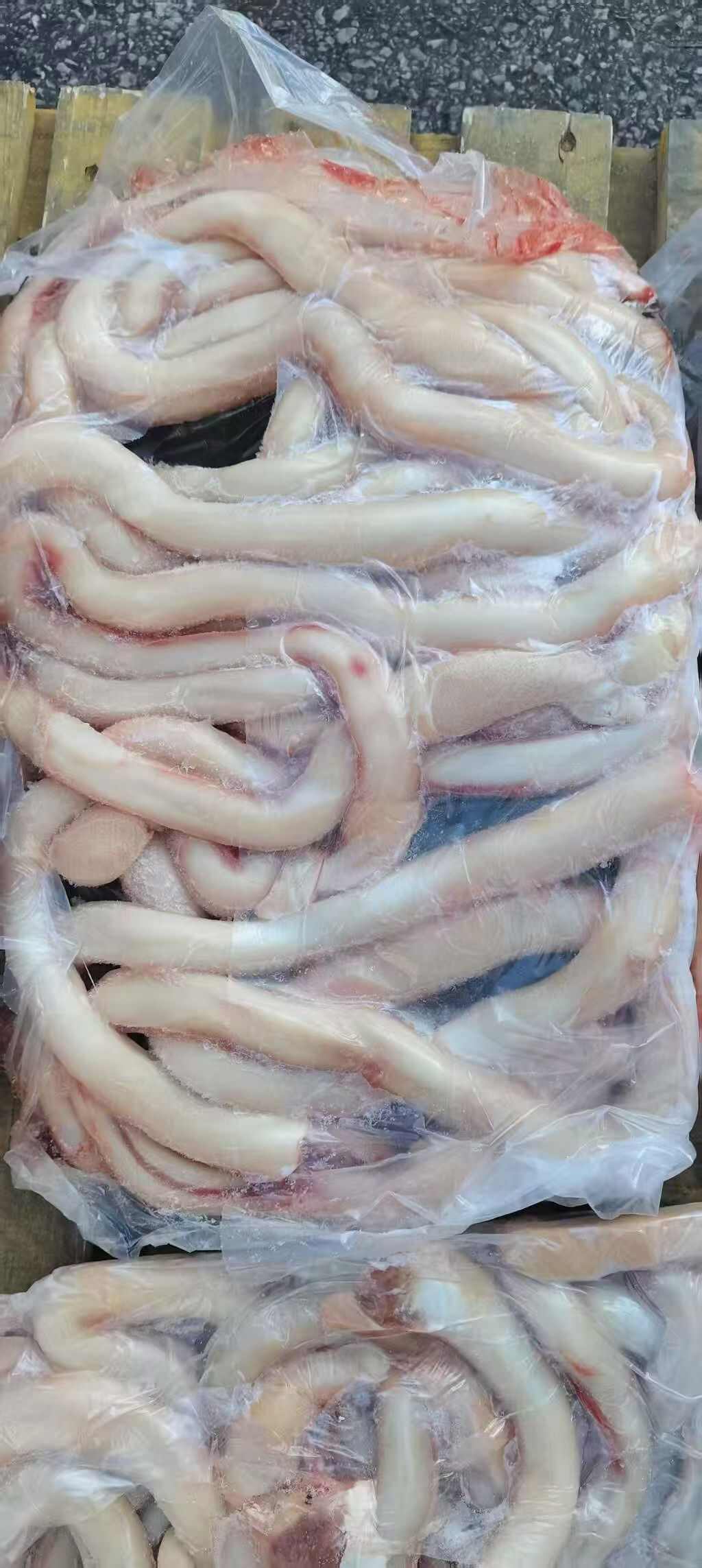 精品牛牛牛鞭