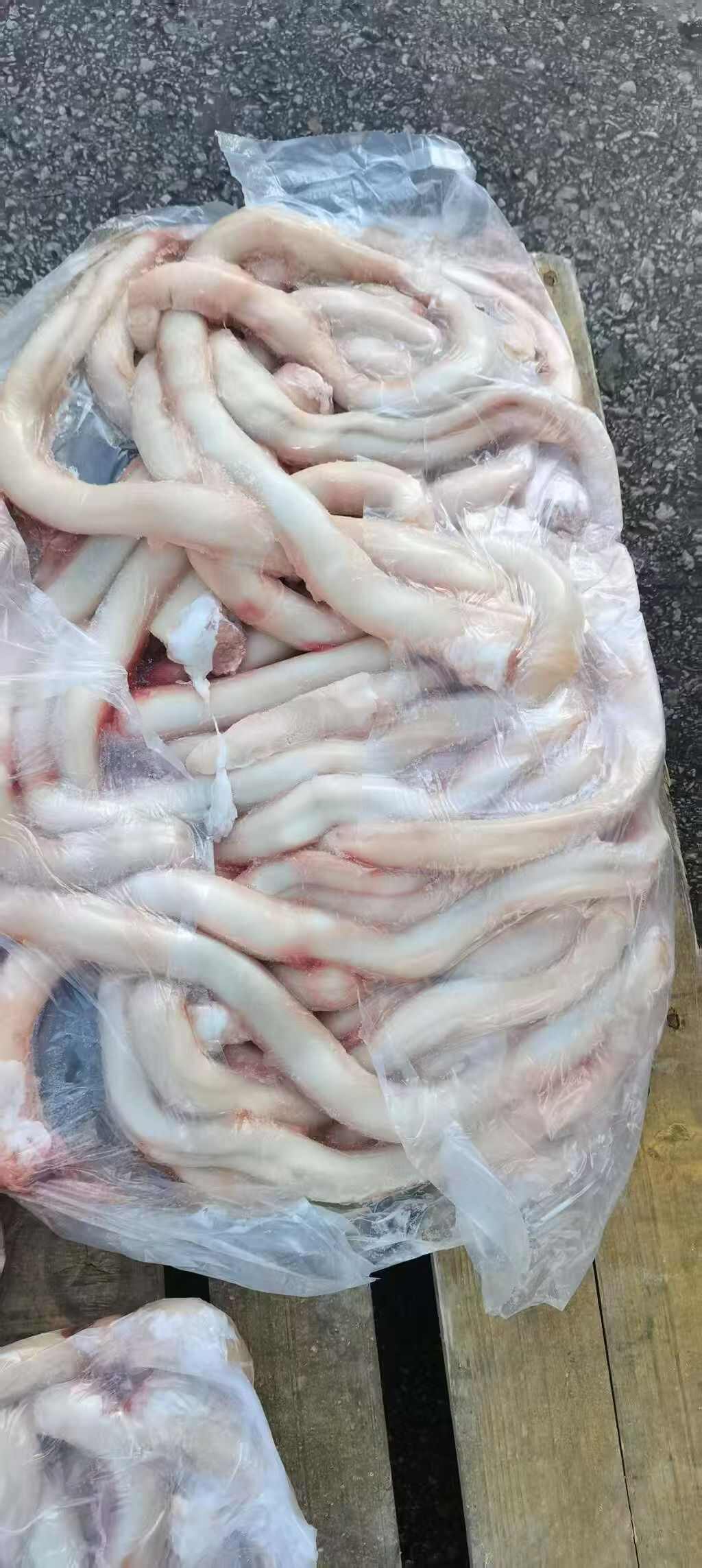 精品牛牛牛鞭