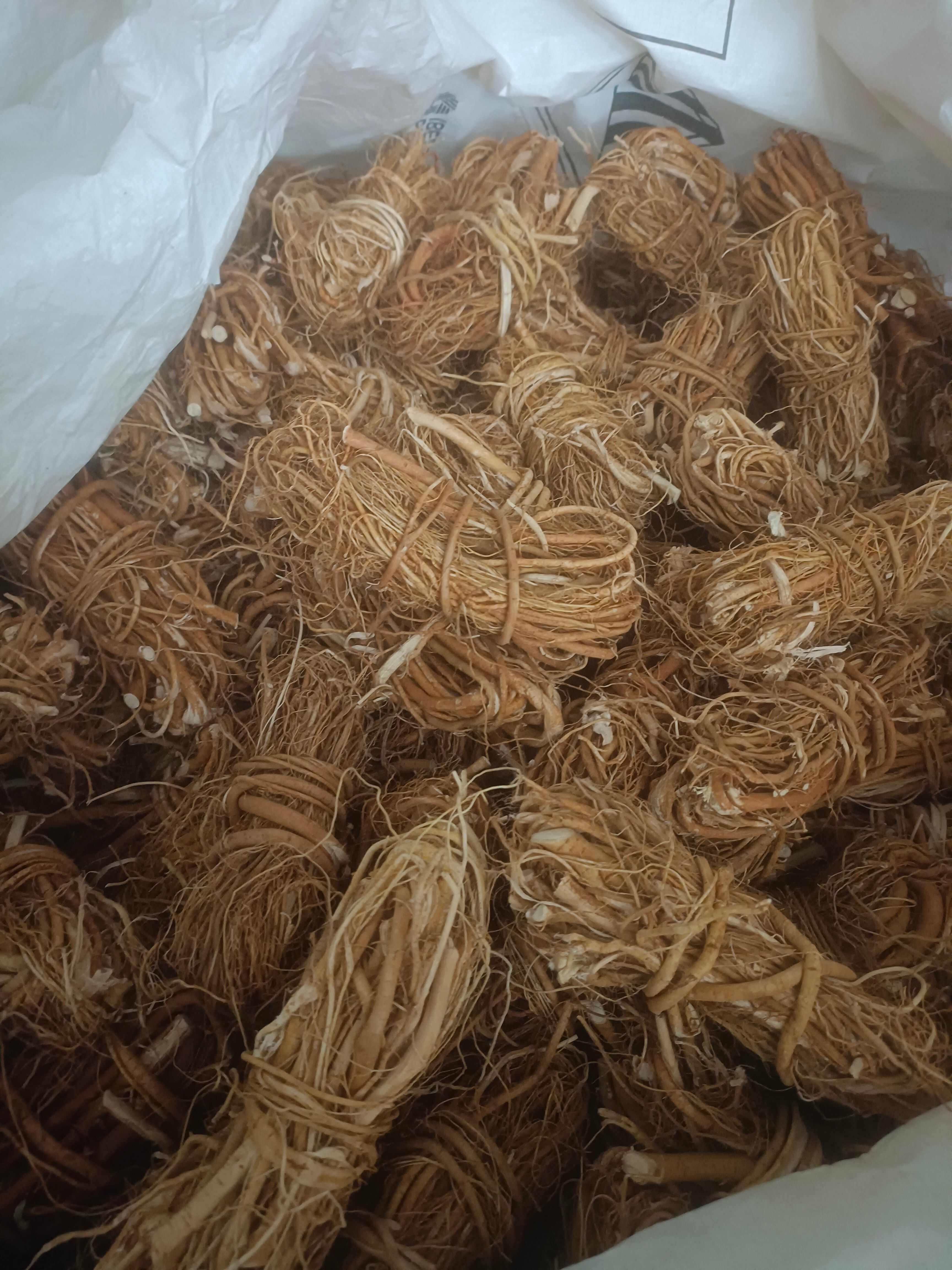 五指毛桃  （精品）小扎把小节靓货