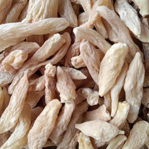 宜昌山麦冬批发