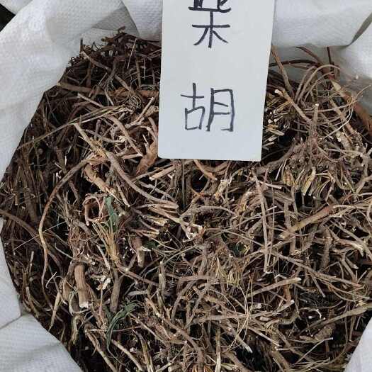 柳州柴胡