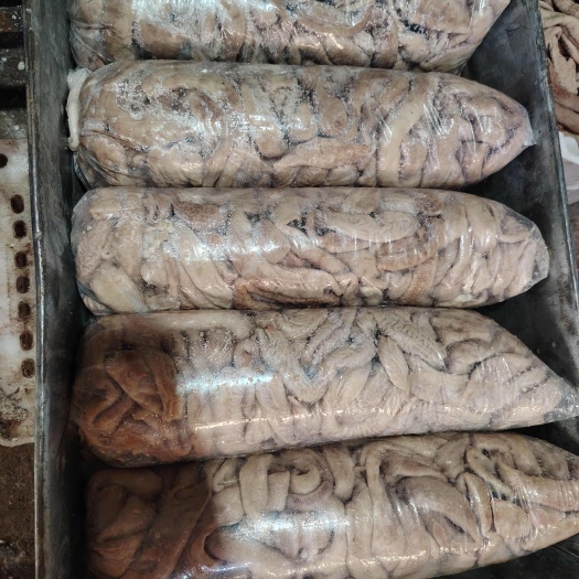大厂县新鲜牛肠    牛副产品    产地直发