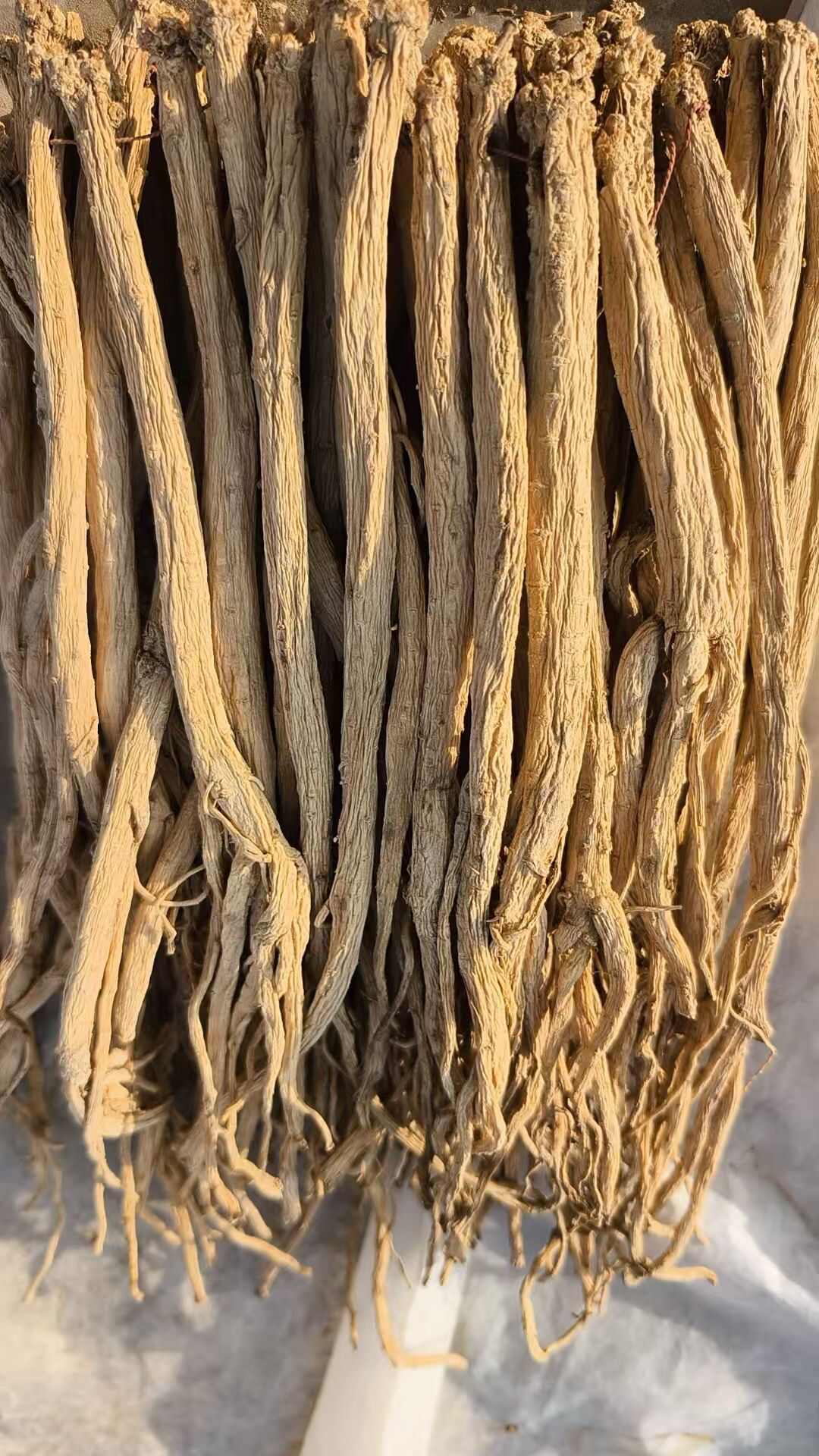 【不满意包退包售后】甘肃临洮无硫党参品质优甜度高条形好 包邮