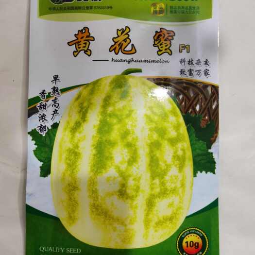 泌阳县高糖甜瓜种子黄花蜜 阳甜九青甜二号早熟一代杂交薄皮口感香甜