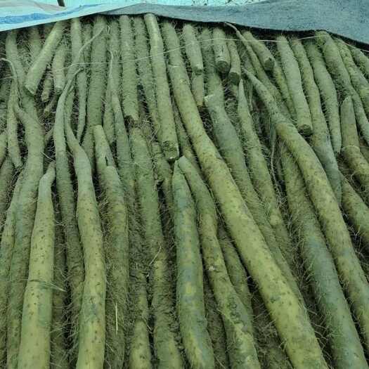 山药，加工货，冻干货，切片货，打皮货，赶集货，搓条，磨粉，