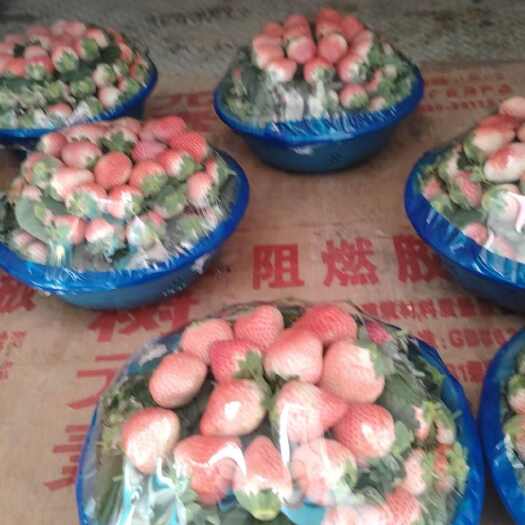 新鲜草莓，天然，营养丰富，口感独特，健康美味，送